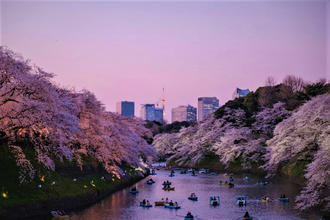 تور ترکیبی ژاپن ویژه نوروز (1405)