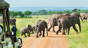 تور آفریقای جنوبی نوروز1405